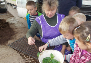 Zdjecie przedstawia ogrodniczkę i grupę dzieci, które poznają procespikowania ziół.